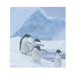 Adelie-pinguïns (Pygoscelis adeliae) op ijs, Notitieblok