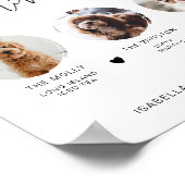 ADELLA Modern Minimaal 3 Foto Huisdier Handtekenin Poster (Hoek)