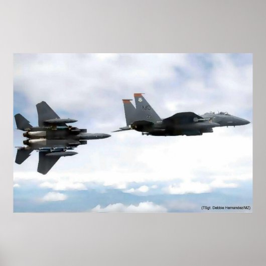 adelvlucht poster (Voorkant)
