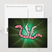adelworm briefkaart (Voorkant / Achterkant)