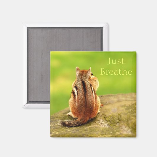 Adem gewoon Chipmunk Magnet in (Voorkant / Achterkant)