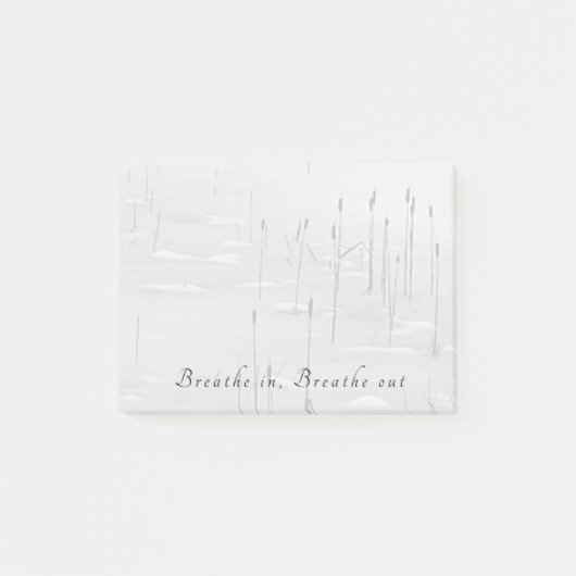 Adem in, adem uit kalme wintervijverscène post-it® notes (Voorkant)