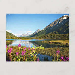 Adembenemend Alaska landschapsfoto Briefkaart