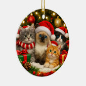 Adembenemend Kerst Katt ornament (Rechts)