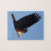 Adembenemende Bald Eagle tijdens de winterzonsonde Legpuzzel (Horizontaal)