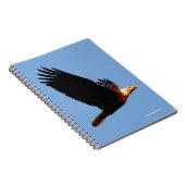 Adembenemende Bald Eagle tijdens de winterzonsonde Notitieboek (Rechterzijde)