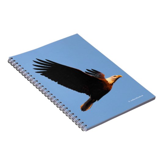 Adembenemende Bald Eagle tijdens de winterzonsonde Notitieboek (Rechterzijde)