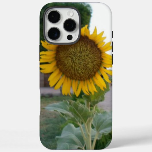 Adembenemende Natuurlijke Zonnebloem | Gouden Stra Case-Mate iPhone Case (Achterkant)