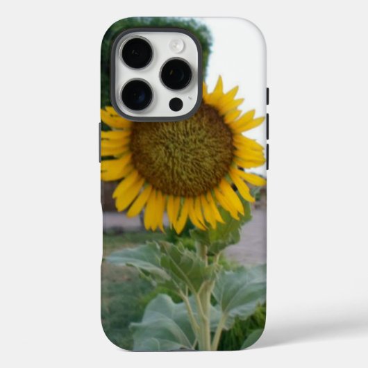 Adembenemende Natuurlijke Zonnebloem | Gouden Stra Case-Mate iPhone Case (Achterkant)