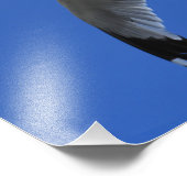 Adembenemende ringvormige meeuw in de vlucht foto afdruk (Hoek)