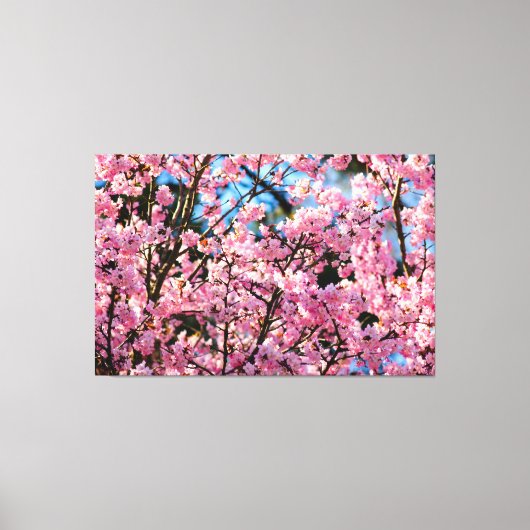Adembenemende Sakura-boom in roze bloei van de len Canvas Afdruk (Voorkant)