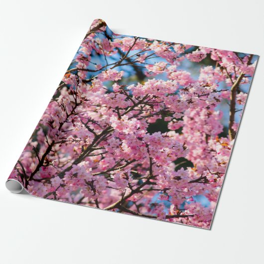 Adembenemende Sakura-boom in roze bloom Cadeaupapier (Uitgerold)
