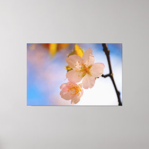 Adembenemende Schoonheid Van Sakura Bloemen In De Canvas Afdruk