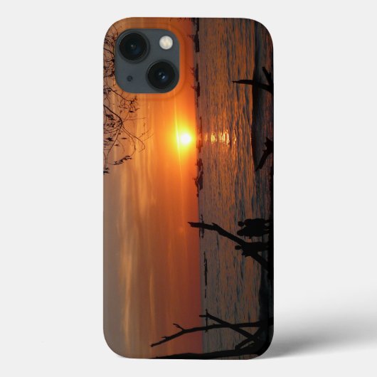 Adembenemende Tamarindo Sunset Case-Mate iPhone Case (Achterkant)