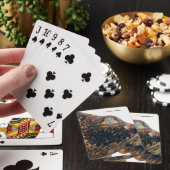 Adembenemende zeearend vliegt over pokerkaarten (Insitu)