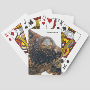 Adembenemende zeearend vliegt over pokerkaarten