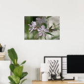 "Adembenige" Bleke roze Phlox Poster van wilde blo (Thuiskantoor)
