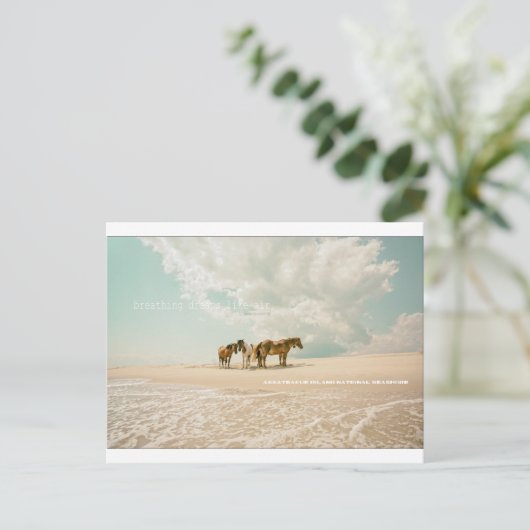 Ademende dromen als briefkaart (Staand voorkant)