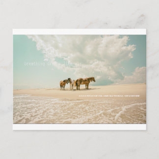 Ademende dromen als briefkaart