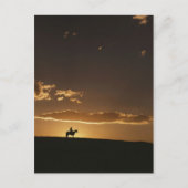 Ademhalend Cowboy Sunset Briefkaart (Voorkant)