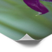 Ademhaling - Poster op het plein (Hoek)