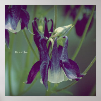 Ademhaling - Poster op het plein