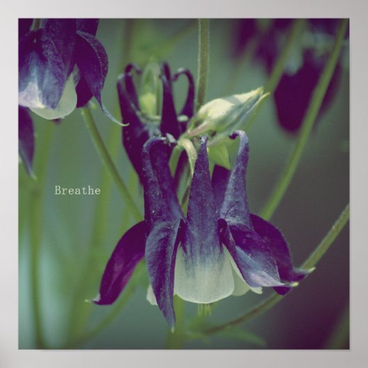 Ademhaling - Poster op het plein (Voorkant)