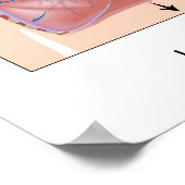 Ademhaling: Poster voor inspiratieafloop (Hoek)