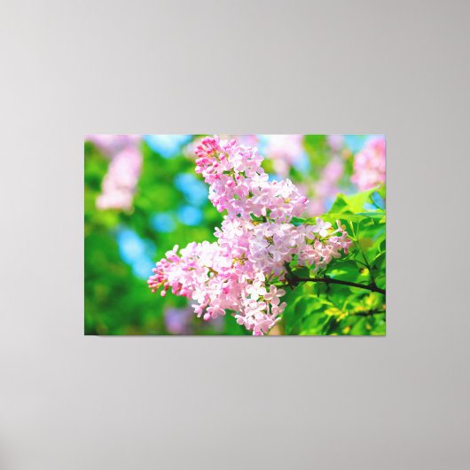 Ademhalingsstelsel Pink Lilacs Canvas Afdruk (Voorkant)