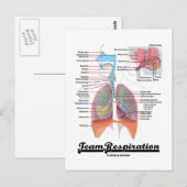 Ademhalingsstelsel (Team Respiratory System) Briefkaart (Voorkant / Achterkant)