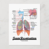Ademhalingsstelsel (Team Respiratory System) Briefkaart (Voorkant)