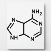 Adenine Fotoplaat (Voorkant)