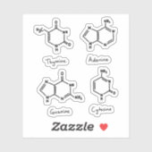 Adenine, guanine, cytosine, thyminemoleculen sticker (Vel)