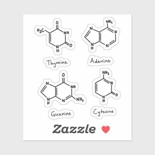Adenine, guanine, cytosine, thyminemoleculen sticker (Vel)