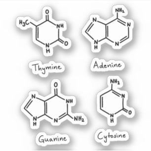 Adenine, guanine, cytosine, thyminemoleculen sticker