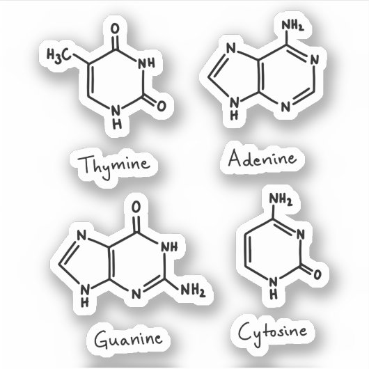 Adenine, guanine, cytosine, thyminemoleculen sticker (Voorkant)