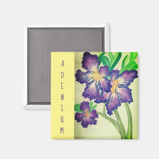 Adenium Magneet (Voorkant / Achterkant)