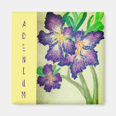 Adenium Magneet (Voorkant)