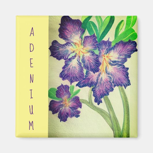 Adenium Magneet (Voorkant)