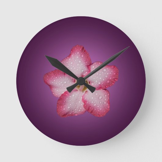Adenium Roze Bloem Flora Gradiënt Paars Ronde Klok (Voorkant)