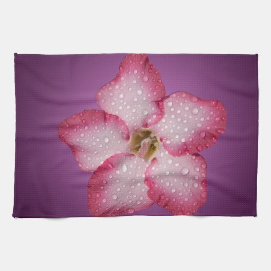 Adenium Roze Bloem Flora Gradiënt Paars Theedoek (Horizontaal)