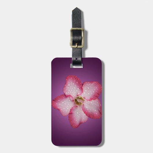 Adenium Roze Bloem Flora Gradiënt Violet Bagagelabel (Voorkant verticaal)