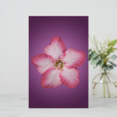 Adenium Roze Bloem Flora Gradiënt Violet Briefpapier (Staand voorkant)