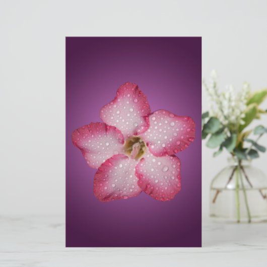 Adenium Roze Bloem Flora Gradiënt Violet Briefpapier (Staand voorkant)