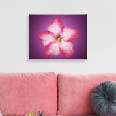Adenium Roze Bloem Flora Gradiënt Violet Canvas Afdruk (Insitu (Woonkamer))