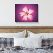 Adenium Roze Bloem Flora Gradiënt Violet Canvas Afdruk (Insitu (Slaapkamer))