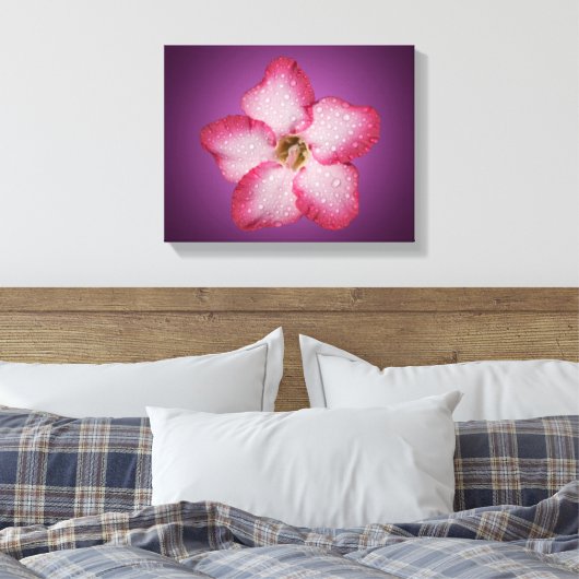 Adenium Roze Bloem Flora Gradiënt Violet Canvas Afdruk (Insitu (Slaapkamer))