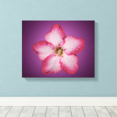 Adenium Roze Bloem Flora Gradiënt Violet Canvas Afdruk (Insitu (Houten vloer))