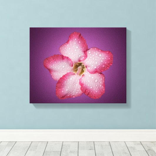 Adenium Roze Bloem Flora Gradiënt Violet Canvas Afdruk (Insitu (Houten vloer))