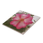 Adenium roze witte bloemen florale natuur graden tegeltje (Zijkant)
